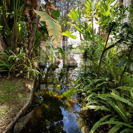 Amazing Apartment ,Center Of Marbella, Beach 338 Luaran gambar